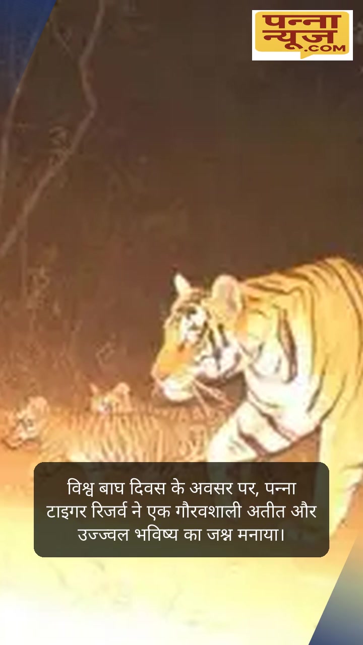 World Tiger Day @Panna National Park