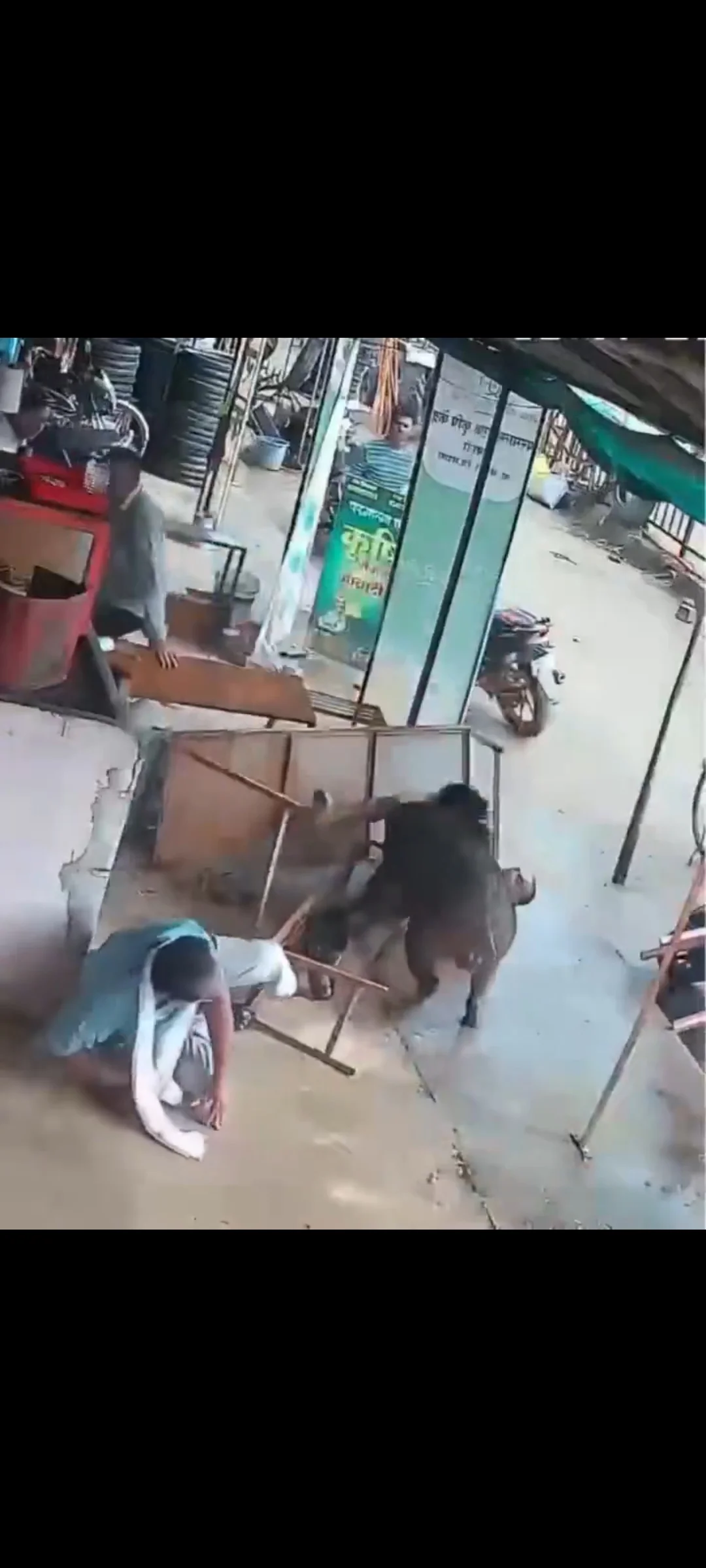 हमला अचानक हुआ था।😱  देखिए कैसे एक जंगली सूअर ने बिना किसी चेतावनी के अचानक ग्रामीणों पर धावा बोल दिया। यह खौफनाक मंज़र CCTV में कैद हुआ है।