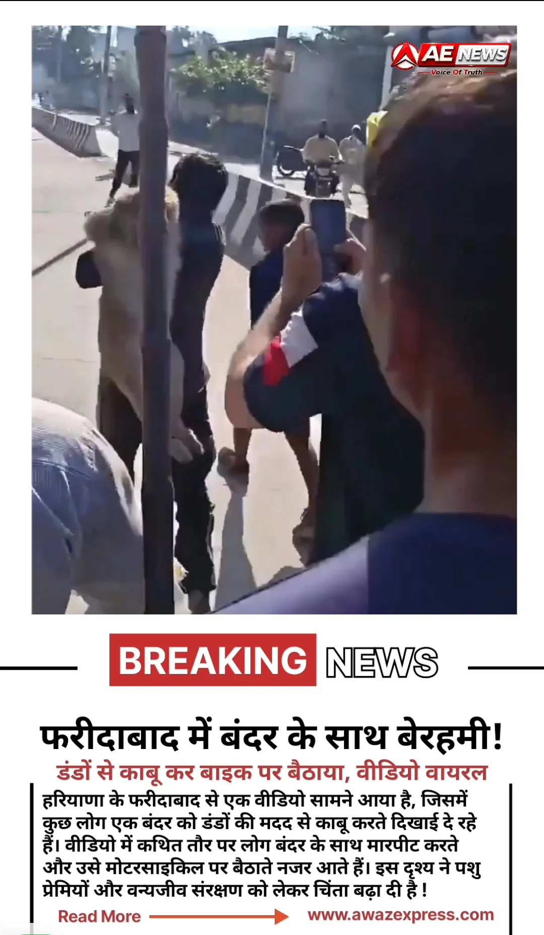 फरीदाबाद में बंदर के साथ बेरहमी! डंडों से काबू कर बाइक पर बैठाया