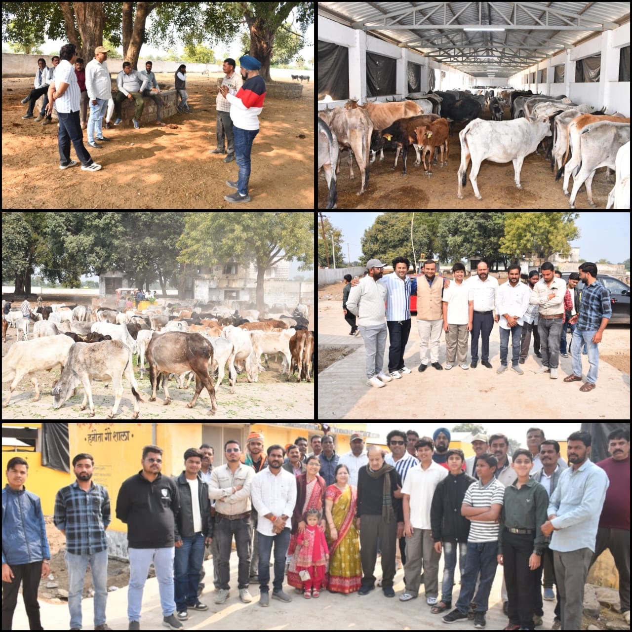 *गौ संवर्धन समिति के सक्रिय सदस्य श्री सौरभ नेमा ने अपने पुत्र दक्ष नेमा का जन्मदिन हनौता गौशाला में गौसेवा के साथ मनाया....!!