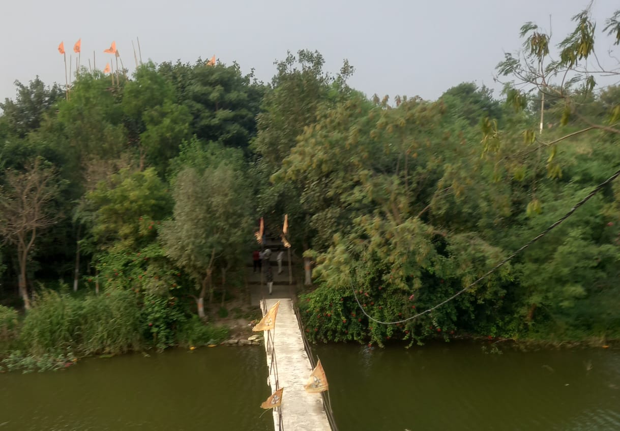 *पथरीली काली चट्टानों पर, पर्यावरण प्रेमी संस्था ने,25वर्षों से अनवरत संघर्ष कर ,चट्टान में ,हजारों पौधो का रोपण , कर दिखाया अद्भुत कार्य*