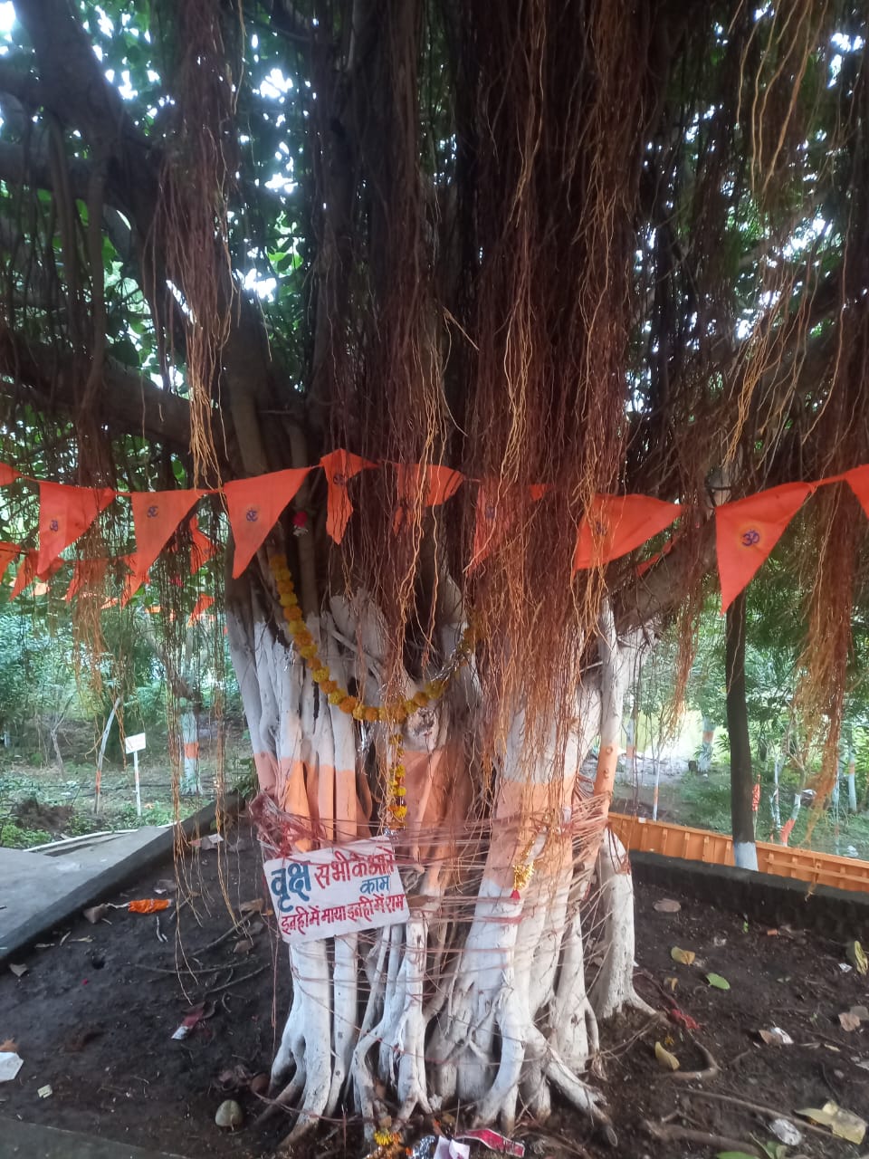 *पथरीली काली चट्टानों पर, पर्यावरण प्रेमी संस्था ने,25वर्षों से अनवरत संघर्ष कर ,चट्टान में ,हजारों पौधो का रोपण , कर दिखाया अद्भुत कार्य*