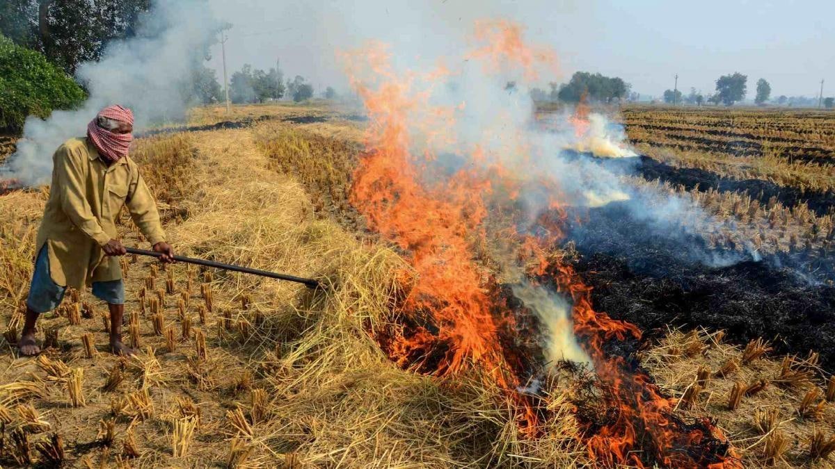 सावधान: खेतों में नरवाई जलाई तो खैर नहीं, प्रशासन लगाएगा भारी जुर्माना; यहाँ जानें पूरी रेट लिस्ट