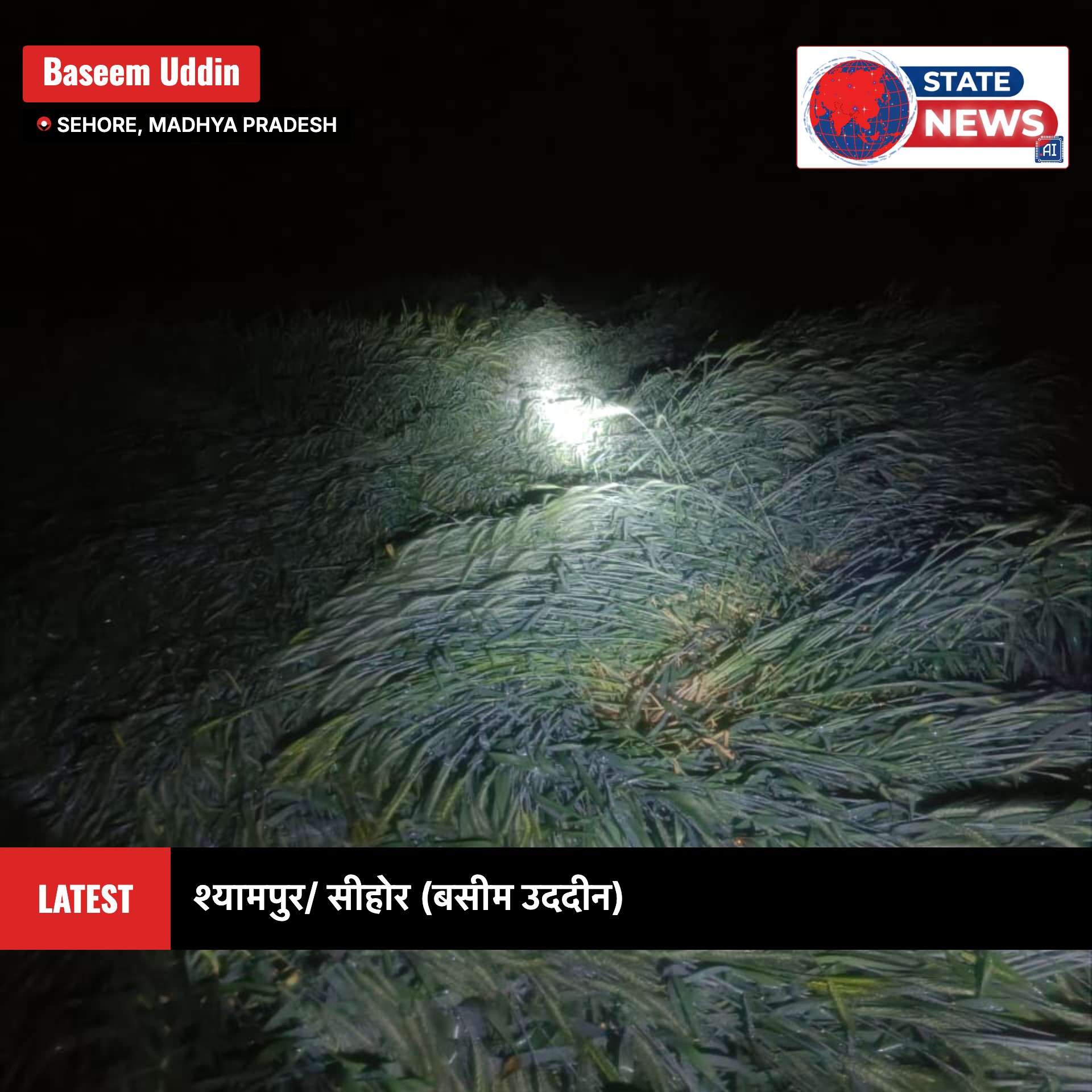 श्यामपुर तहसील में पटवारियों की सुस्त गिरदावरी से किसानों के पंजीयन में देरी से फसल योजना पर संकट मंडरा रहा है
