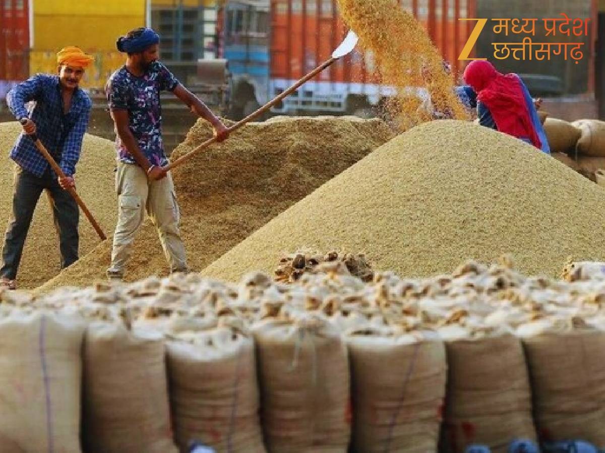 चना और मसूर की सरकारी खरीदी के लिए पंजीयन हैं शुरू
