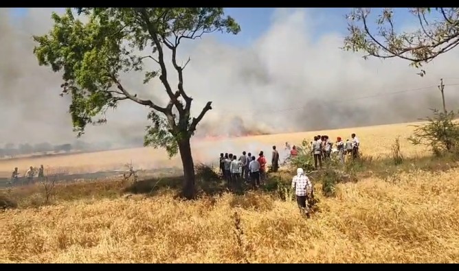 सीहोर जिले में नरवाई जलाने पर कलेक्टर ने लगाया प्रतिबंध, नरवाई जलाने पर होगी कार्यवाही
