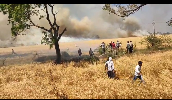 सीहोर जिले में नरवाई जलाने पर कलेक्टर ने लगाया प्रतिबंध, नरवाई जलाने पर होगी कार्यवाही