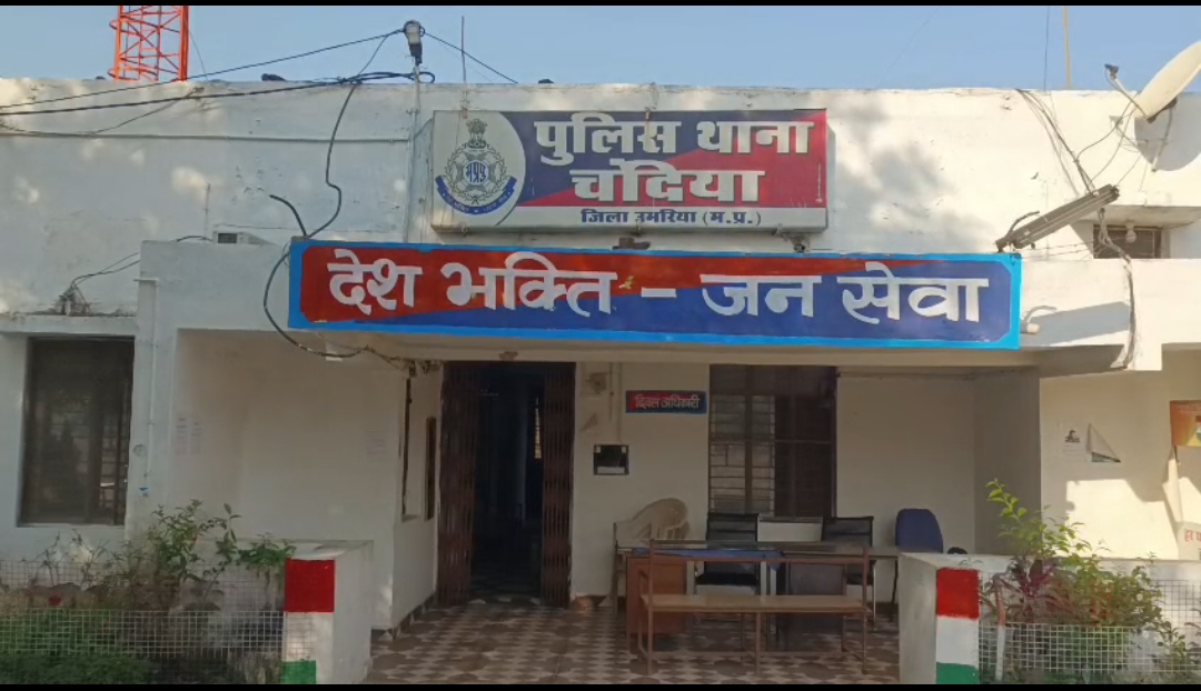 उमरिया: तेज रफ्तार ट्रक की चपेट में आए दो वनकर्मी, दर्दनाक मौत