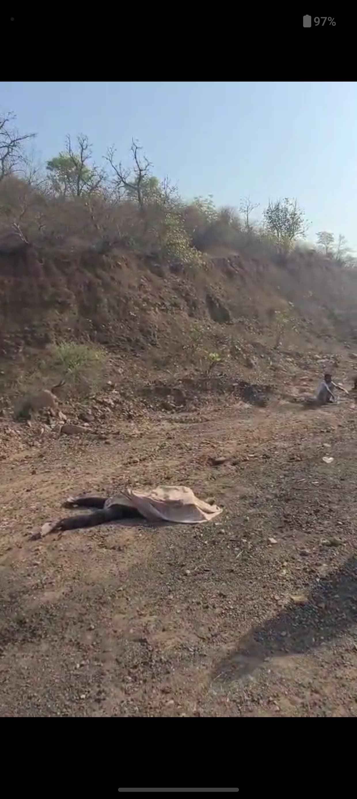 सोहागी पहाड़ में कंटेनर ब्रेक फेल से बड़ा हादसा