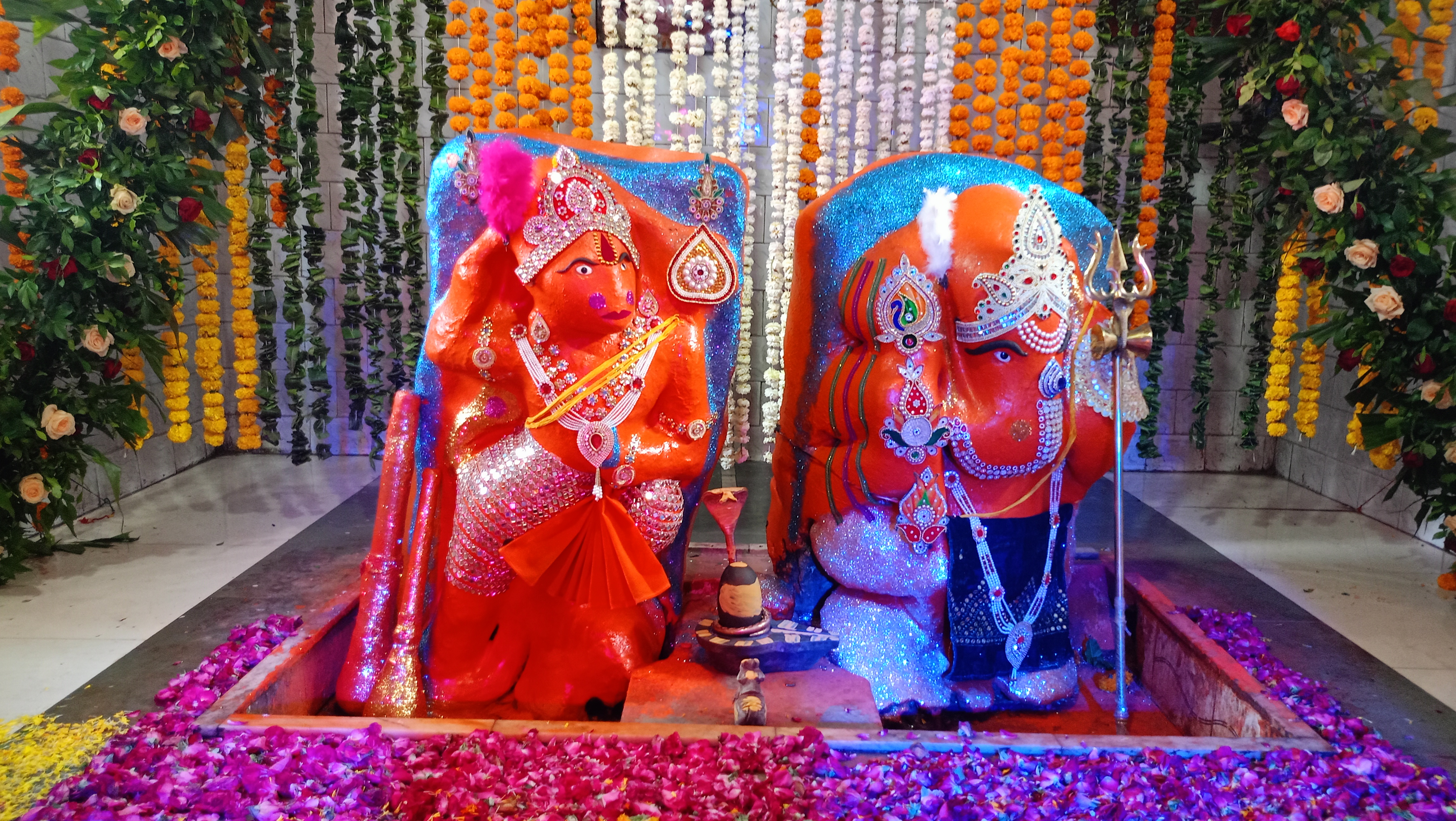 ओंकारेश्वर में हनुमान प्रकट उत्सव की धूम, जयकारों से गूंज उठी तीर्थ नगरी