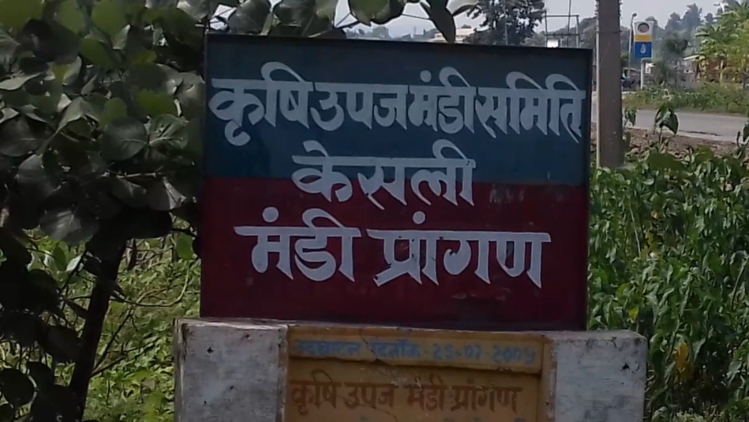 केसली: MSP उपार्जन को लेकर SDM राजनंदिनी शर्मा ने खरीदी केंद्रों के लिए जारी किए कड़े निर्देश