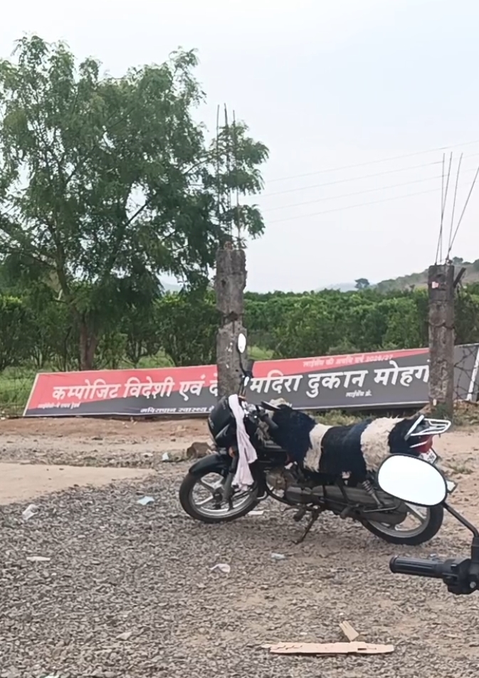 स्कूली छात्राओं को शराब की दुकान के किनारे से होकर गुजरना पड़ेगा आखिर शासन की मंशा शराब जैसे जहर को बढ़ावा देना