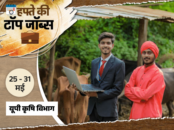 बारह हजार दो सौ छप्पन एसएससी सीजीएल भर्तियां राजस्थान कर्मचारी चयन बोर्ड में तीन हजार नौ सौ इक्यावन रिक्तियां कुल बीस हजार आठ सौ छियासठ अवसर