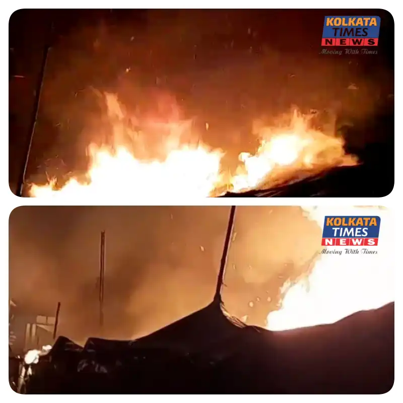 মেলা শুরুর আগেই আতঙ্ক! ভোররাতে গঙ্গাসাগরে ভয়াবহ অগ্নিকাণ্ড, পুড়ে ছাই সরকারি ক্যাম্প-সহ একাধিক অস্থায়ী ছাউনি !