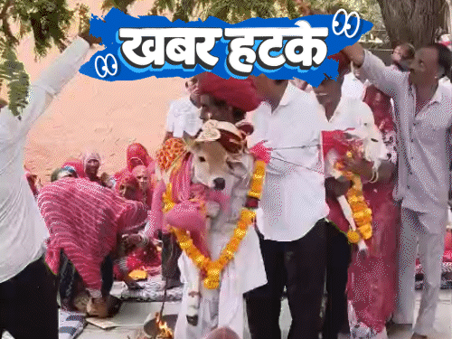 मॉल में धान बोने की प्रतियोगिता और बछड़े बछिया की शादी में गीत गाकर हुई विदाई बाढ़ में फ्रिज में बचाई जान