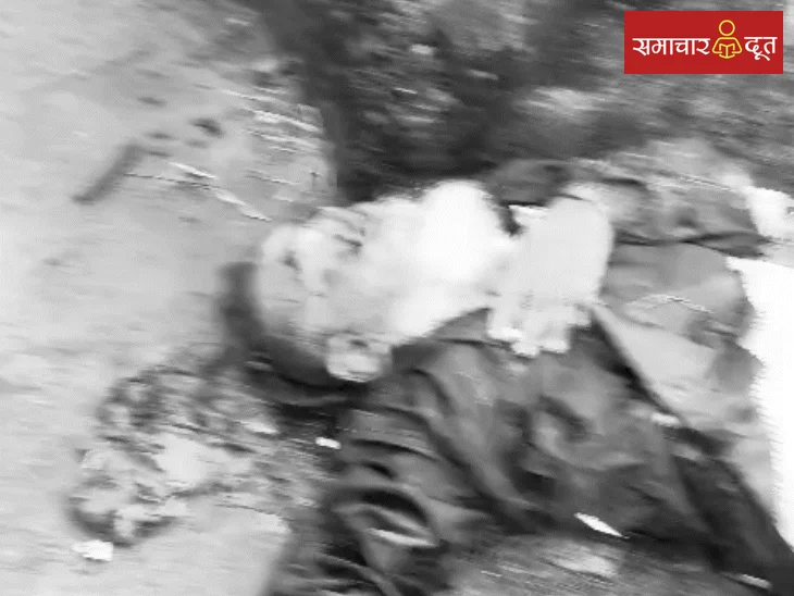 इंदौर में भीषण सड़क हादसा: तेज रफ्तार इनोवा ने 5 वाहनों को रौंदा, बुजुर्ग समेत 5 घायल