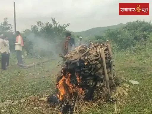 रायसेन में दो किसानों पर विपत्ति: सर्पदंश से एक की मौत, दूसरे पर गुटखे को लेकर हमला