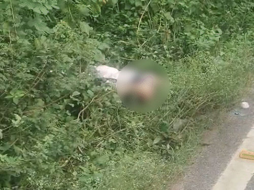 ग्वालियर में झाड़ियों से मिला नाबालिग का शव: बॉयफ्रेंड पर हत्या का शक, गला घोंटने के निशान