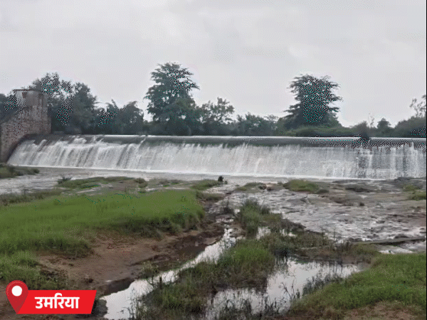 मध्य प्रदेश के 22 जिलों में भारी बारिश का अलर्ट, सतना में स्कूल-कॉलेज बंद