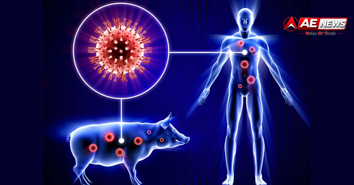 भोपाल में स्वाइन फ्लू (H1N1) का गंभीर प्रकोप: ओल्ड मीनाल में बुजुर्ग की मौत, इस सीजन की पहली कैजुअल्टी; सितंबर में फूटा संक्रमण का बम 