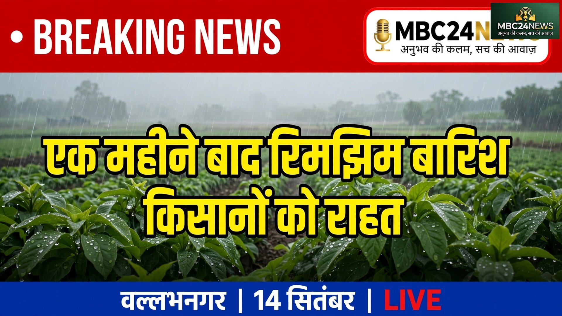 वल्लभनगर क्षेत्र मेंरिमझिम बारिश से किसानों को राहत