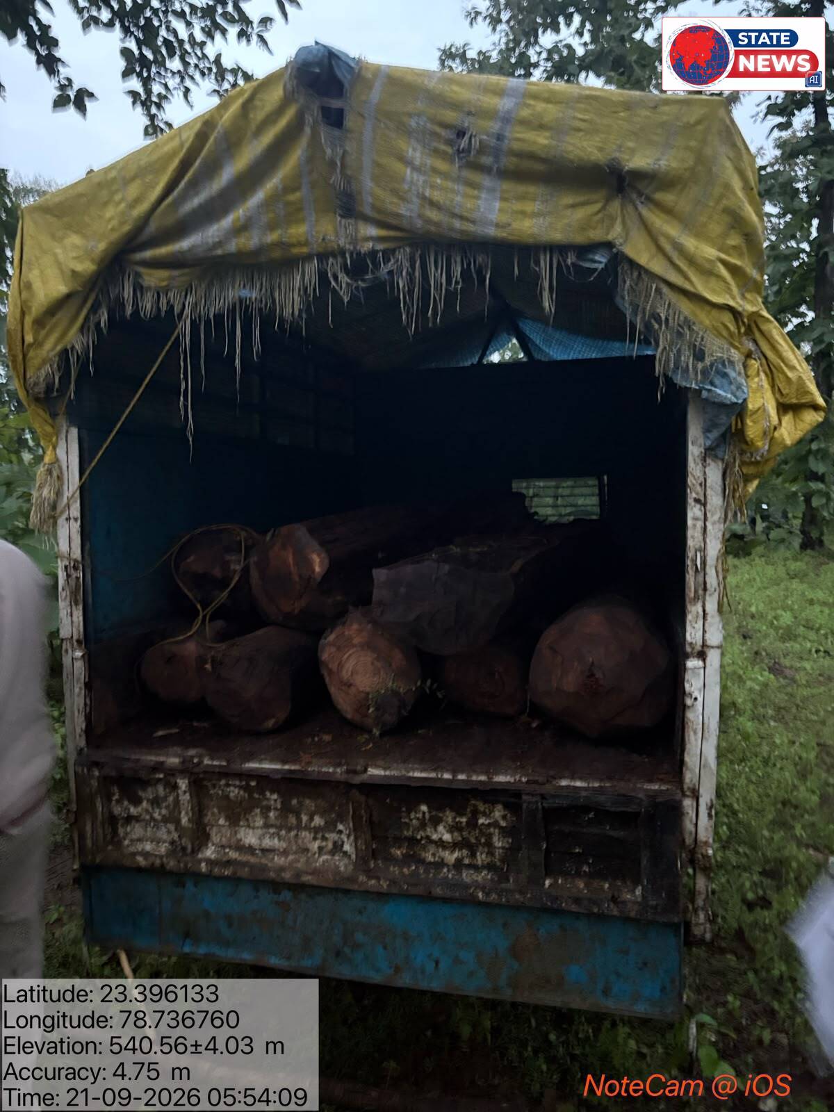 केसली में वन विभाग की बड़ी कार्रवाई: अवैध सागौन ले जा रही बोलेरो पिकअप जब्त, आरोपी फरार