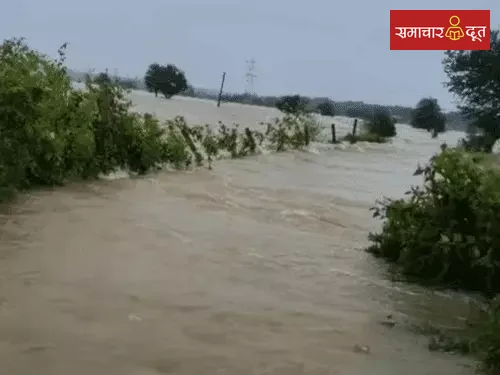 छत्तीसगढ़ में झमाझम बारिश, स्कूल बंद, त्रैमासिक परीक्षा रद्द:रायपुर में जलभराव, गरियाबंद में घरों में घुसा पानी, 2 ट्रेनें और जगदलपुर-हैदराब