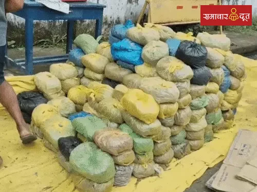 कपड़ों की गठरियों में छिपाया साढ़े 4 करोड़ का गांजा:छत्तीसगढ़ के रास्ते ओडिशा से MP जा रहे 6 तस्कर अरेस्ट, इनमें 2 महिलाएं