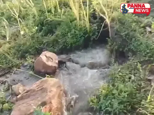 पन्ना जिले में बृजपुर तालाब का बांध कटाव, तेजी से हो रहा रिसाव