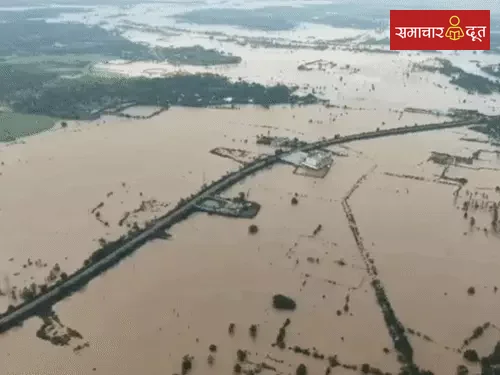 जगदलपुर में बाढ़ से तबाही का ड्रोन VIDEO:इंद्रावती नदी का 50 साल का रिकॉर्ड टूटा, 833 लोगों का रेस्क्यू, 65 शिविरों में 8,894 लोग