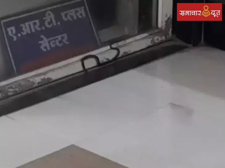 इंदौर के MY अस्पताल की न्यू OPD में घुसा सांप:खिड़की के पास दिखा, गार्ड ने बाहर निकाला