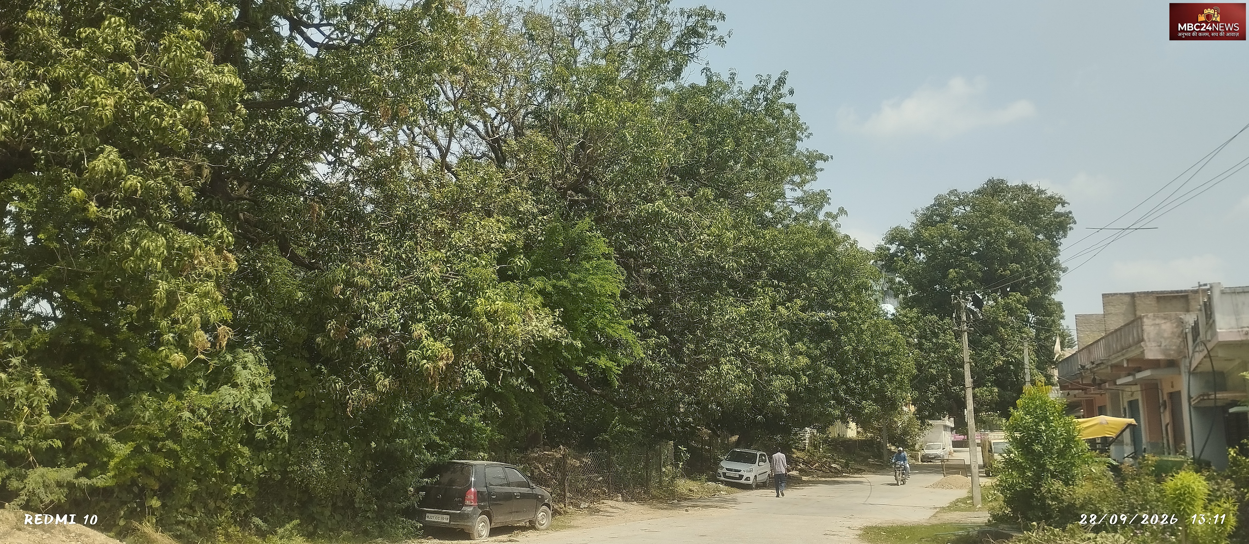 कभी कश्मीर जैसी थी मेनार की फिजा! हर घर से लगता था एक आम का पौधा