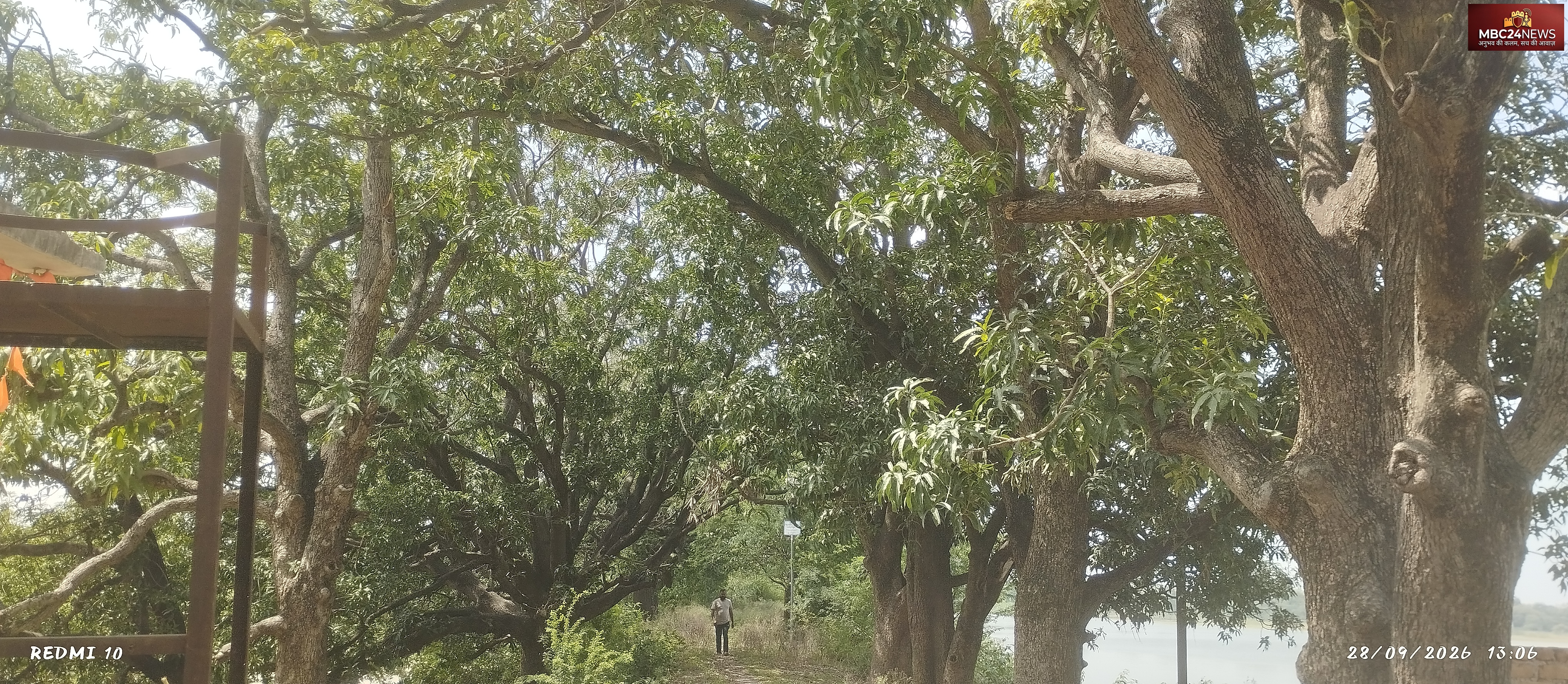 कभी कश्मीर जैसी थी मेनार की फिजा! हर घर से लगता था एक आम का पौधा