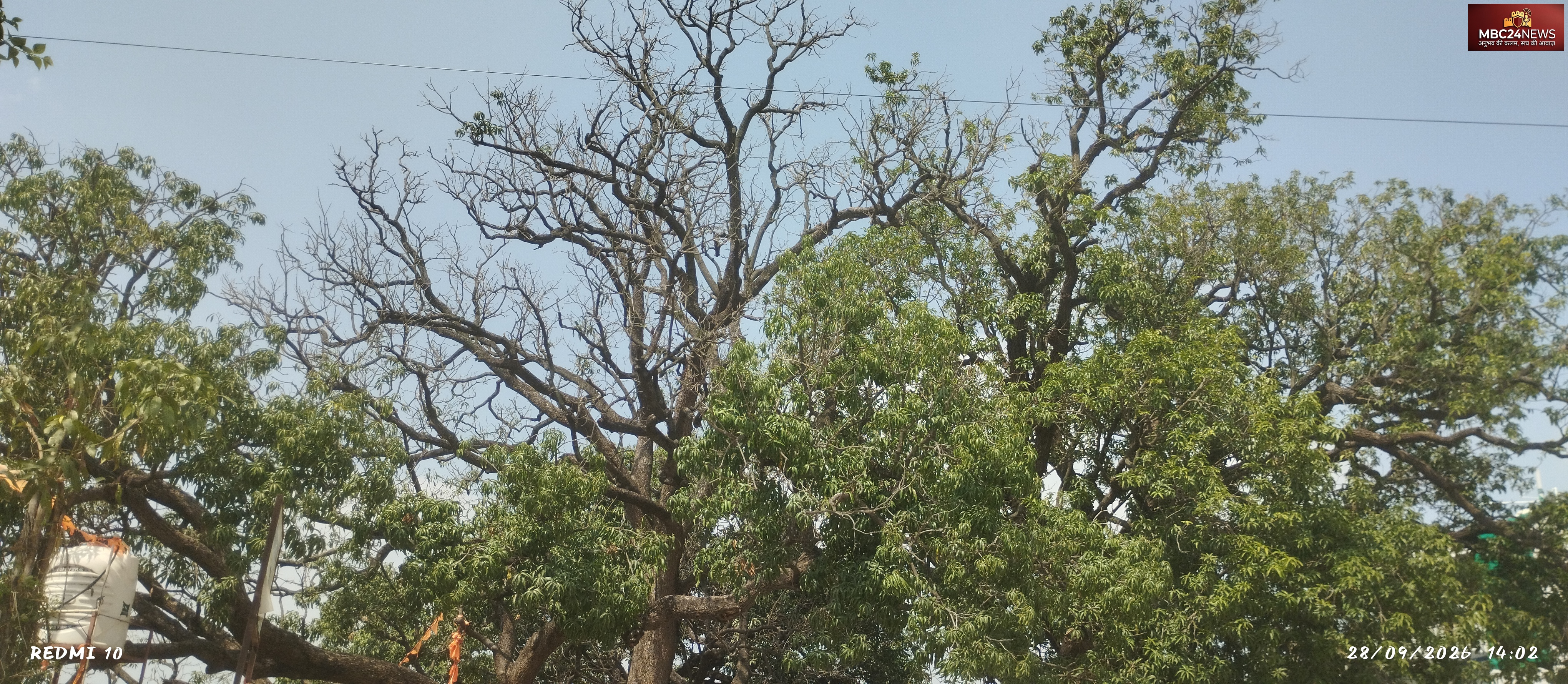 कभी कश्मीर जैसी थी मेनार की फिजा! हर घर से लगता था एक आम का पौधा