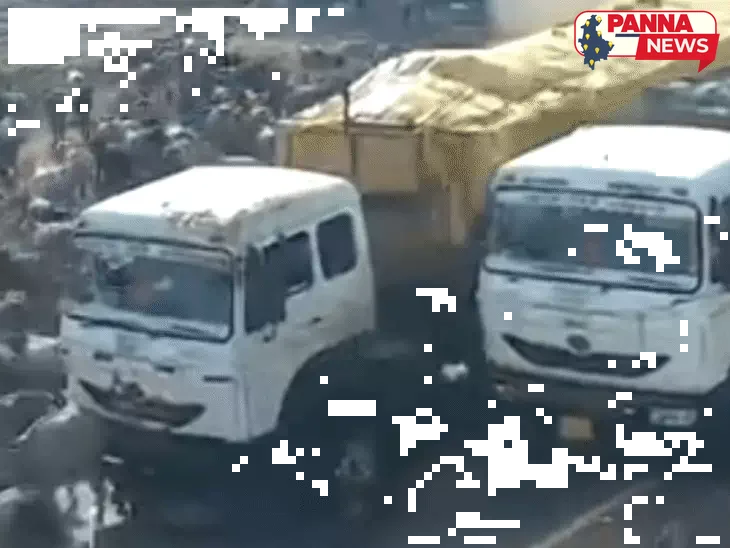 पन्ना में तेज रफ्तार ट्राले ने गायों के झुंड को रौंदा