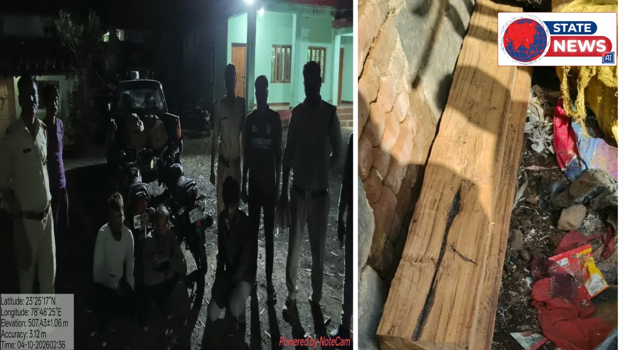 केसली में वन विभाग की बड़ी कार्रवाई, अवैध सागौन तस्करी का भंडाफोड़, 3 दर्जन से अधिक आरोपियों पर मामला दर्ज