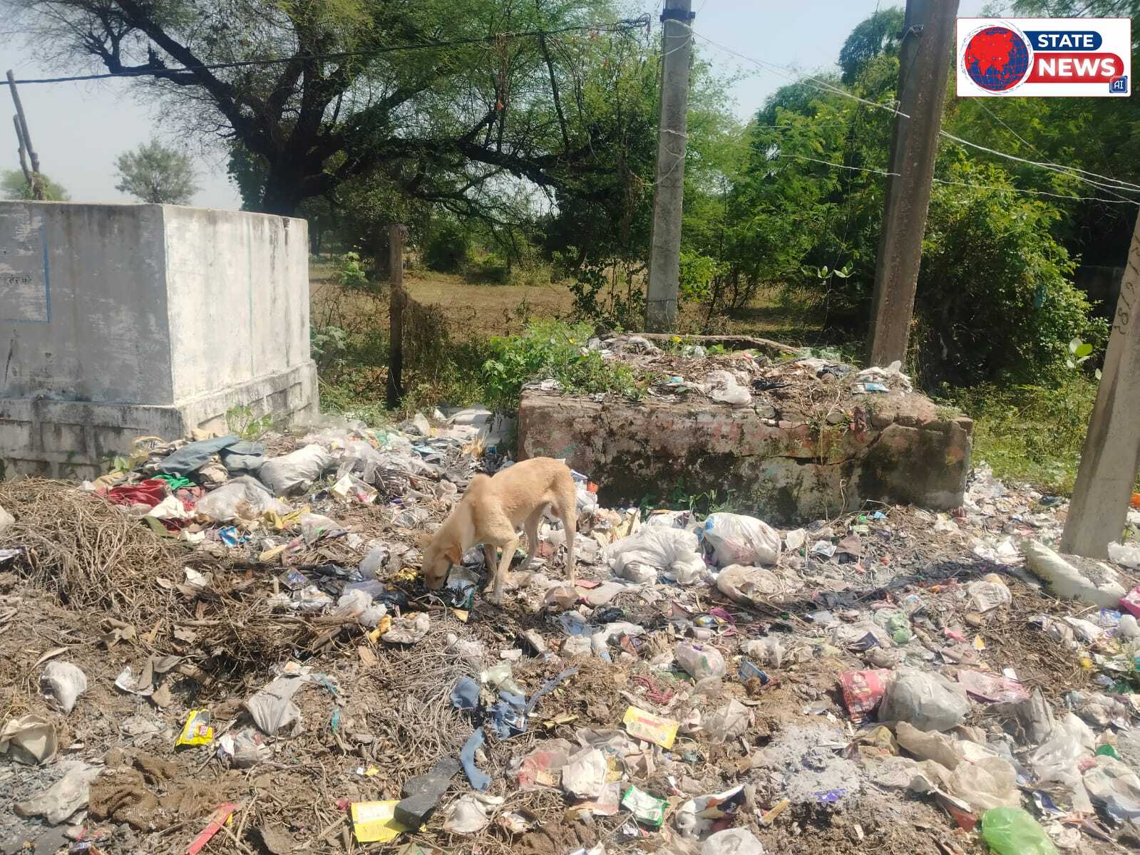 धरातल पर कचरा कागजों में सफाई का दावा