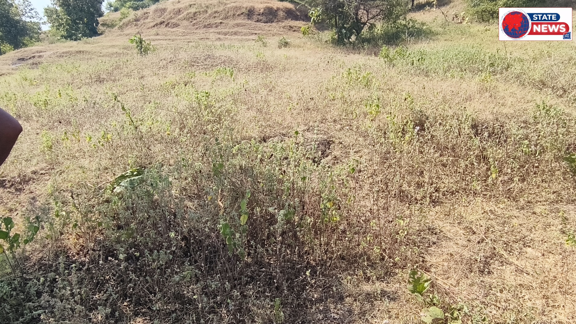 चांदनी में 2 करोड़ 75 लाख की लागत से बनेगा 50 सीटर जनजाति कन्या आश्रम
