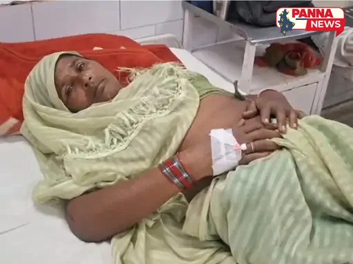 पन्ना जिला अस्पताल में जिंदगी की जंग लड़ रही आदिवासी महिला, पीठ पर बाघ ने मारा पंजा