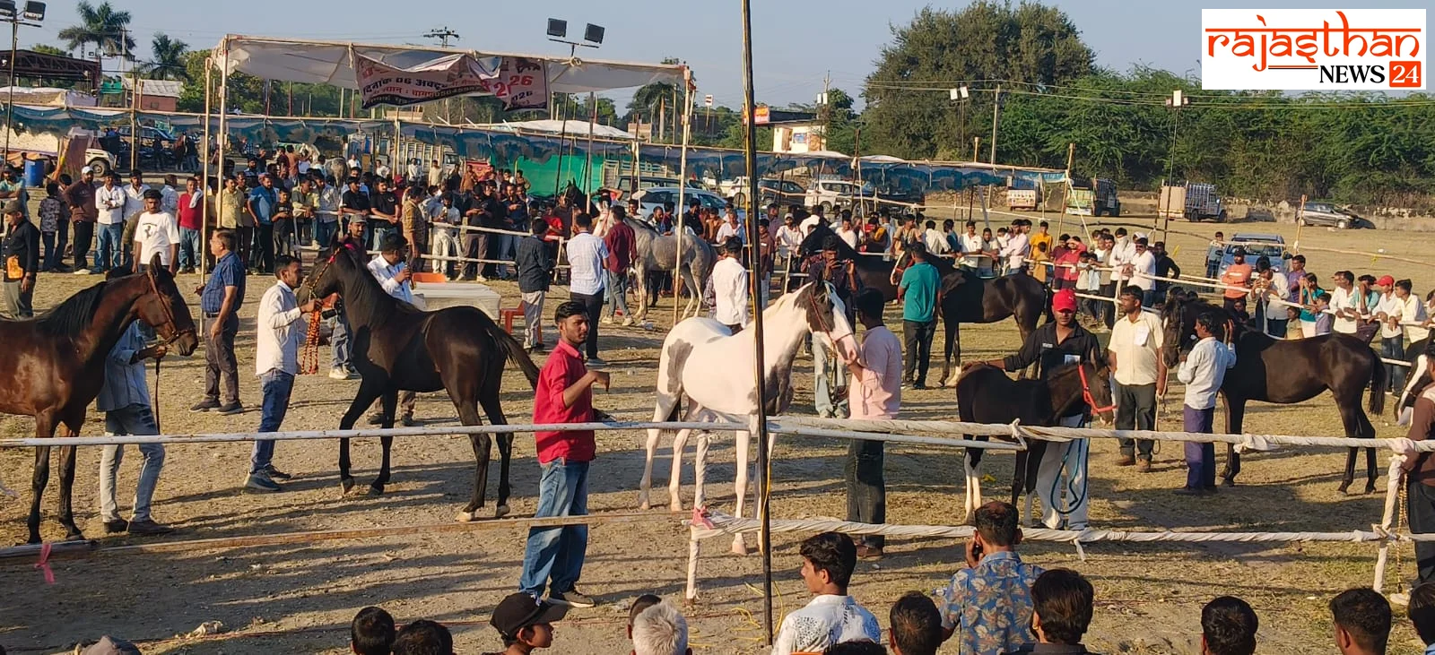 एसी एंबुलेंस में सवार होकर पहुंचे घोड़े