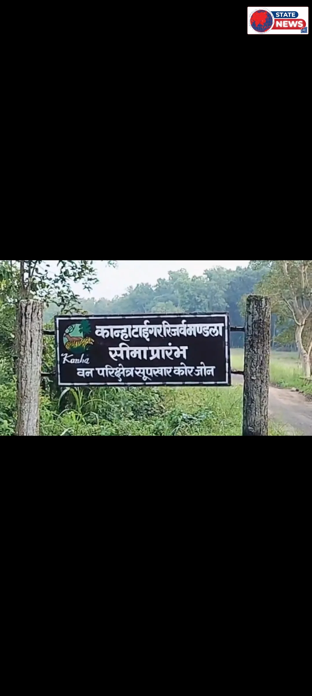 कान्हा नेशनल पार्क में 100 सालों बाद जंगली भैंसों की वापसी