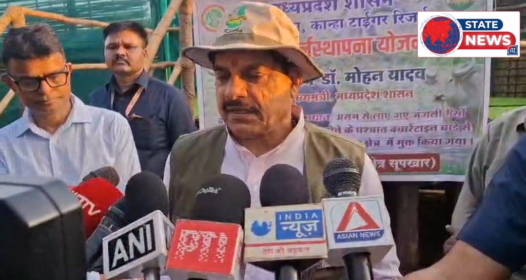 कान्हा नेशनल पार्क में 100 सालों बाद जंगली भैंसों की वापसी