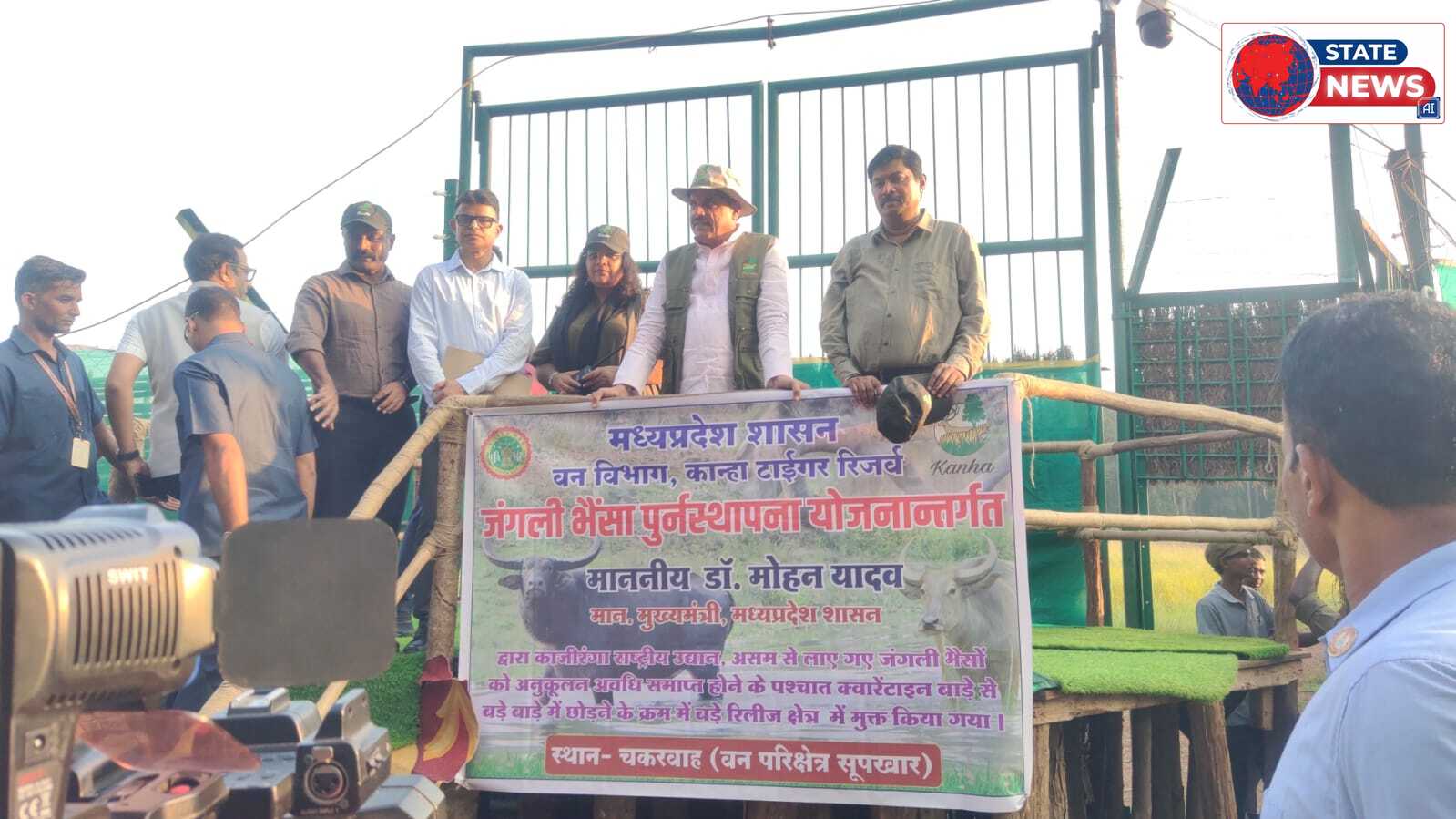 कान्हा नेशनल पार्क में 100 सालों बाद जंगली भैंसों की वापसी