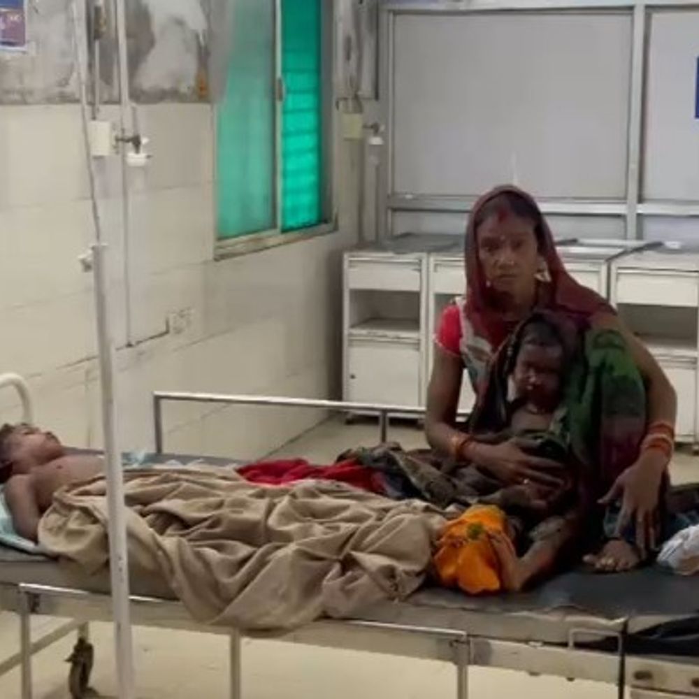 पन्ना में आवारा कुत्तों का आतंक: दो बच्चियों पर हमला, अस्पताल में भर्ती, जनता में डर