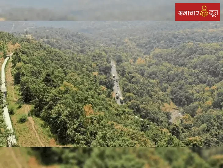 चोरल जंगल में पेड़ों की कटाई पर हाईकोर्ट की रोक, रेलवे-वन विभाग को नोटिस