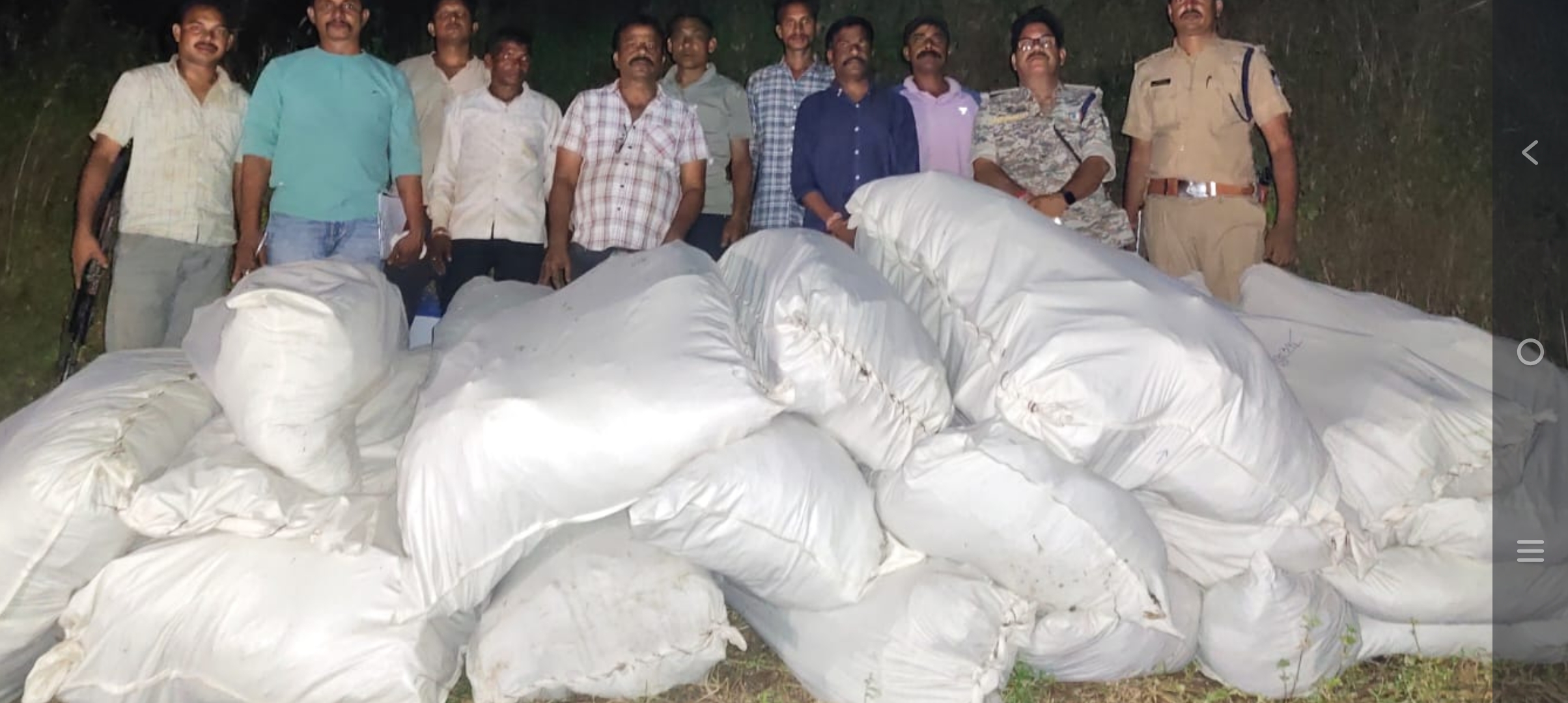 भार मात्र में  गांजे के पौधे मिले