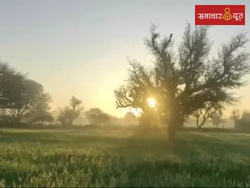 छत्तीसगढ़ में अगले 5 दिन मौसम साफ, हल्की ठंड की संभावना