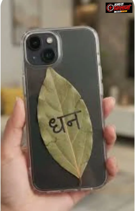 फोन कवर में तेज पत्ता रखने का ट्रेंड: छोटा-सा टोटका, बड़ी-सी उम्मीद! क्या सच में चमक सकती है किस्मत?