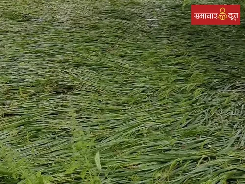 अर्नब तूफान का असर घटा, छत्तीसगढ़ में बढ़ेगी गर्मी, तापमान 3-5 डिग्री तक बढ़ने की संभावना