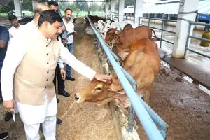 पशुपालन से बदलेगी किसानों की किस्मत: मध्य प्रदेश बनेगा 'मिल्क कैपिटल', सरकार...